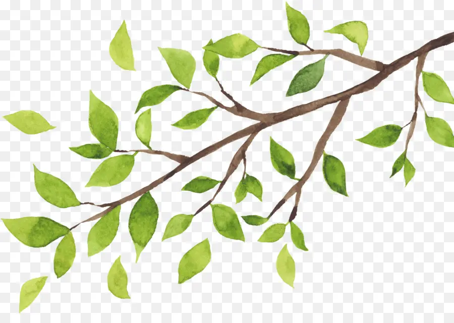 Ramita，árbol PNG