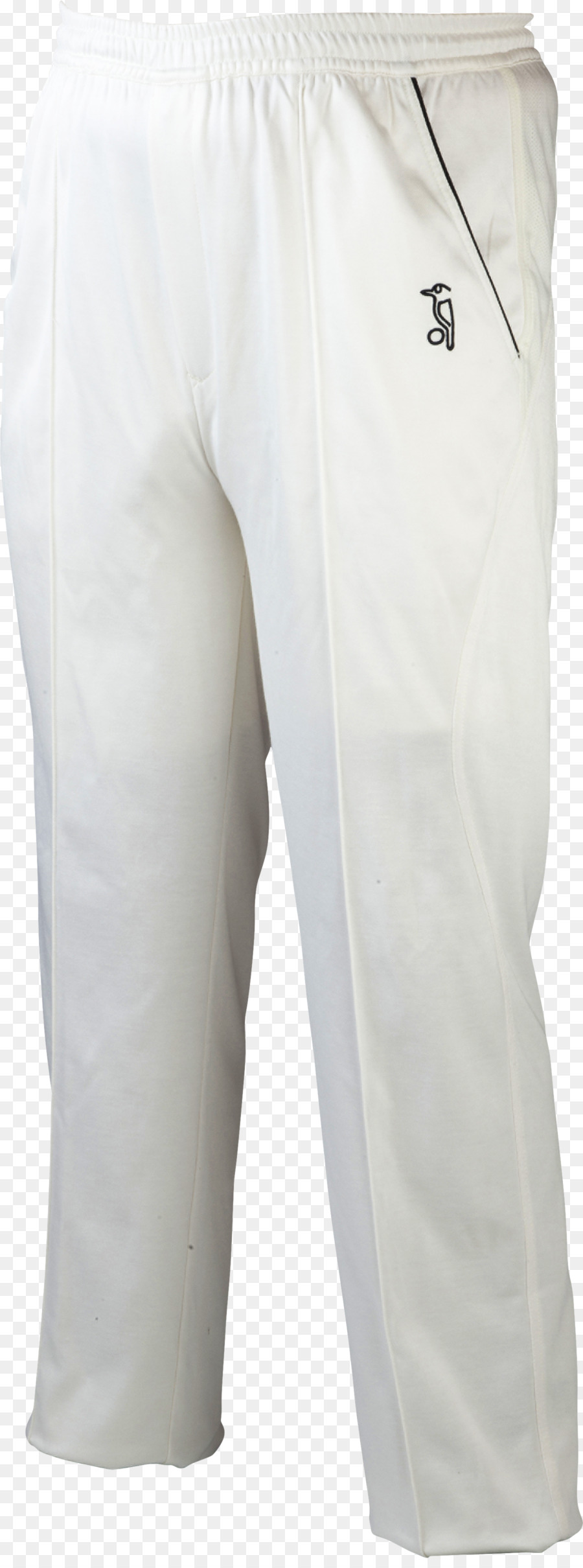 Bermudas，Pantalones PNG