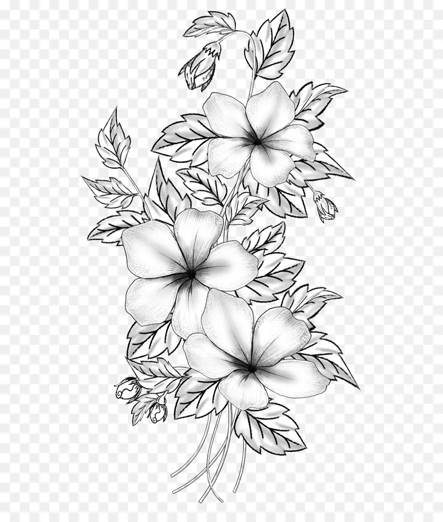 Dibujo Floral，Flores PNG