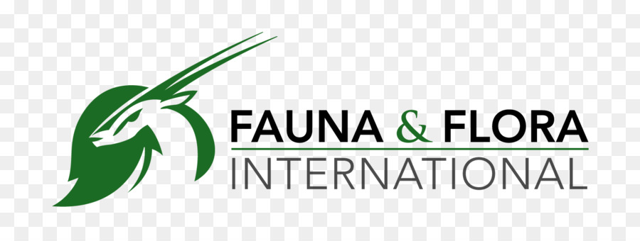 La Fauna Y Flora Internacional，Flora PNG