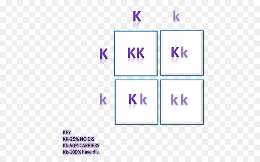 Punnett Square，La Enfermedad De Krabbe PNG