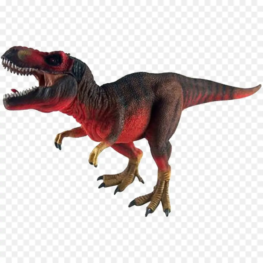 Tyrannosaurus，Dinosaurio PNG