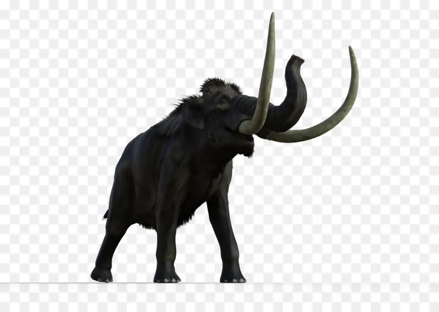 Mamut，Colmillos PNG