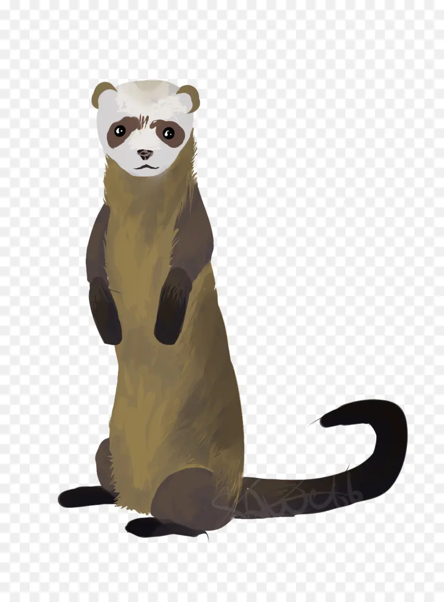 Hurón，Mascota PNG