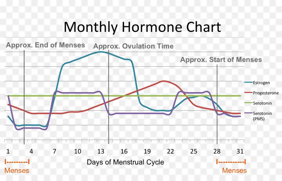 Tabla Hormonal，Mensual PNG