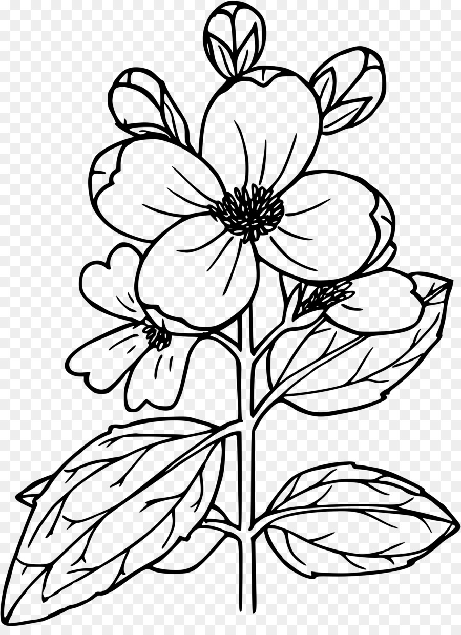 Dibujo De Flores，En Blanco Y Negro PNG