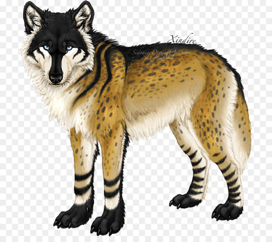 Tundra De Alaska Lobo，Zorro Rojo PNG