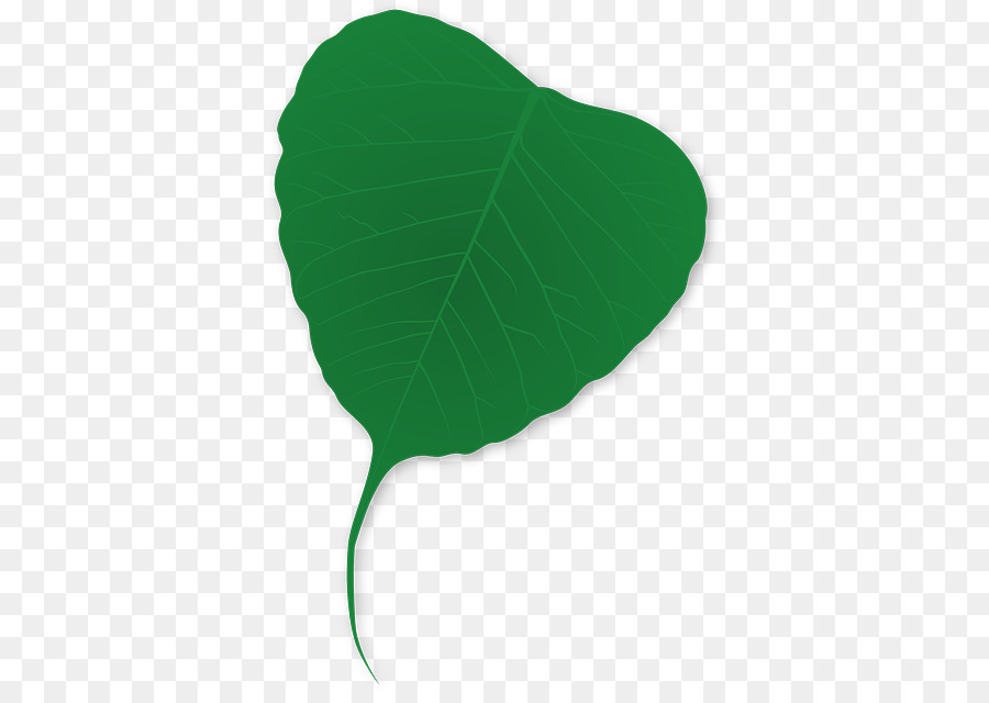 Hoja，Verde PNG