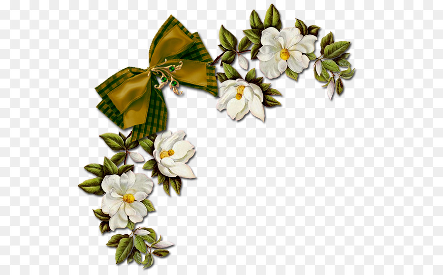 Flor，Ornamento PNG