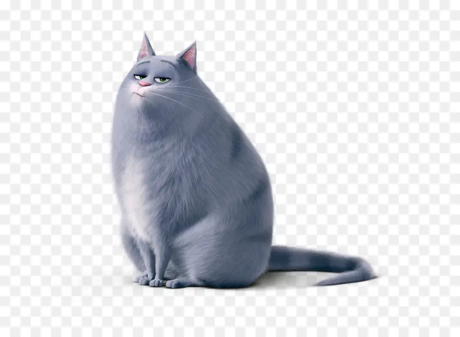 Gato Gordo，Gris PNG