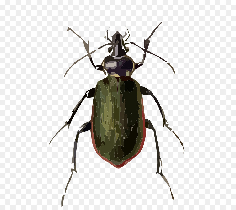 Escarabajo，Bicho PNG