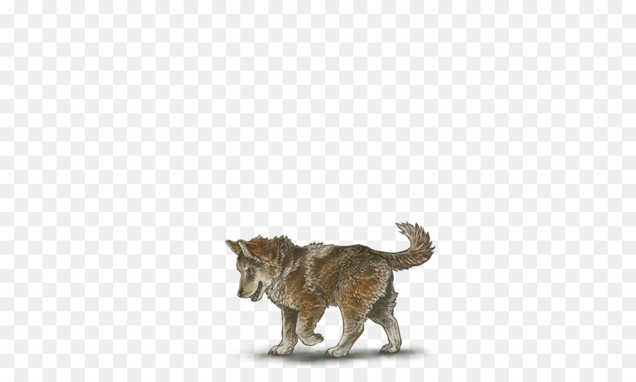 Gato，Perro PNG