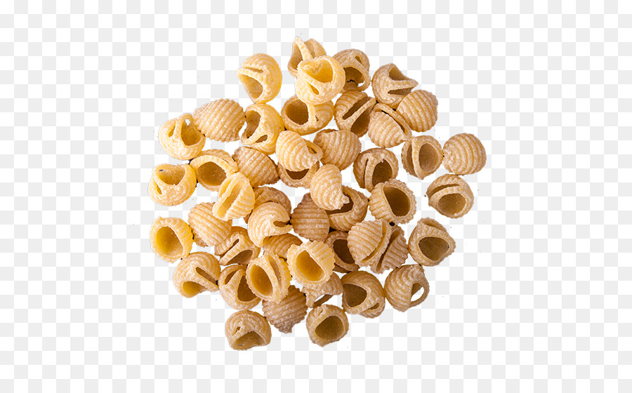 Pastas，Conchas PNG