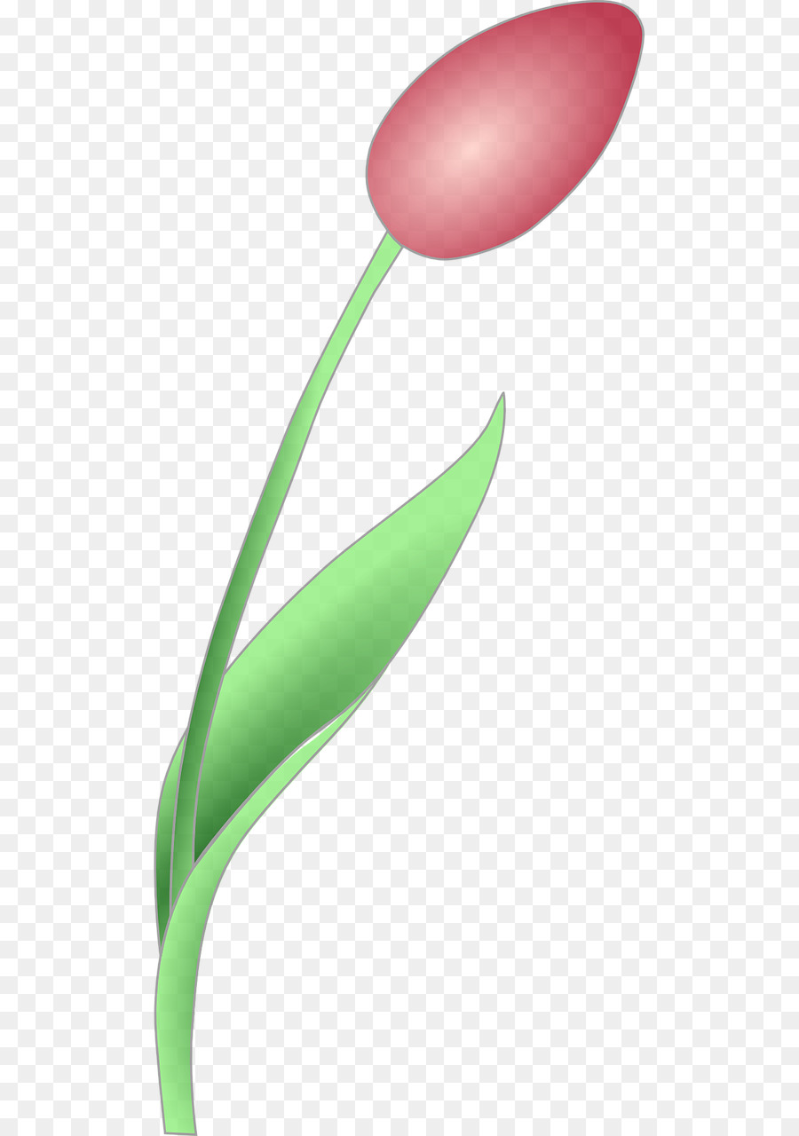 Fondo De Escritorio，Tulip PNG