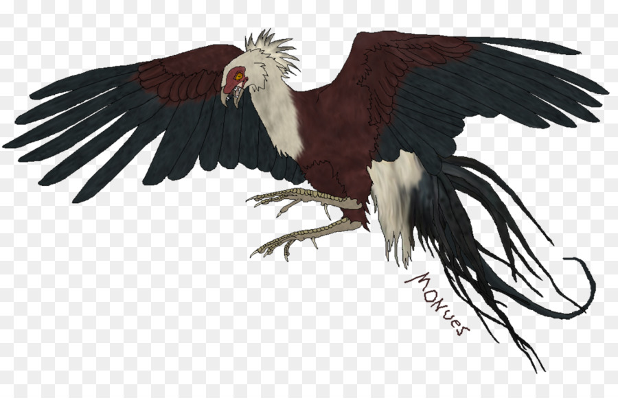 Gallo，Perro PNG