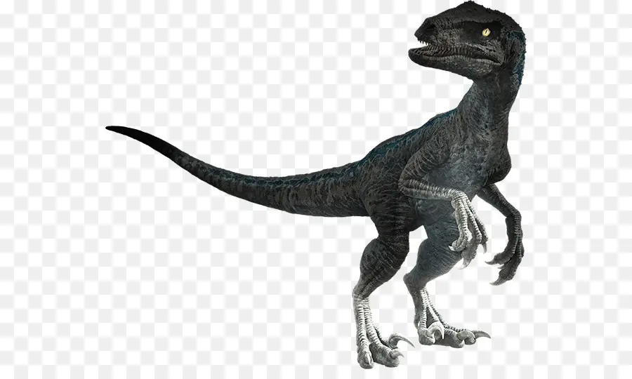 Velociraptor，Universal Pictures PNG