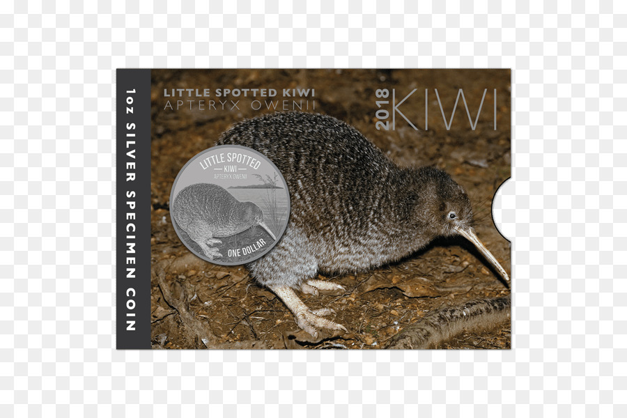 Nueva Zelanda，Poco Kiwi Manchado PNG