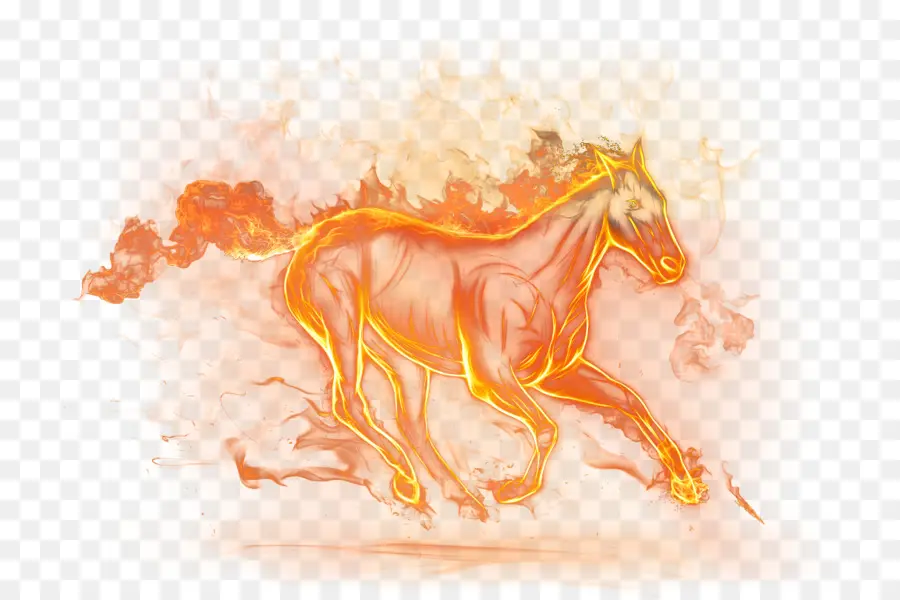 Caballo，Fondo De Escritorio PNG