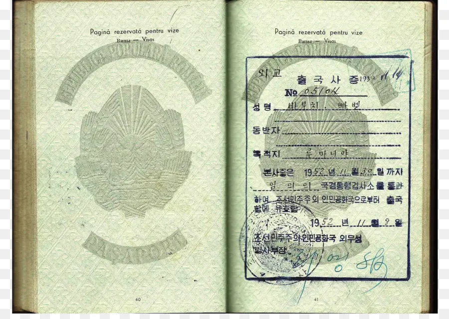 Pasaporte，Visa PNG