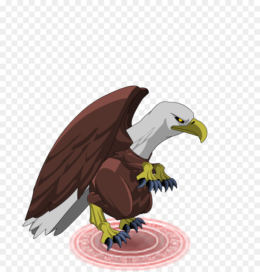 águila Calva，Hawk PNG