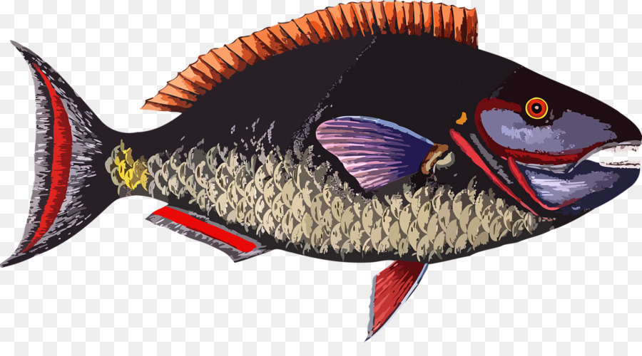 Los Peces，Animal PNG