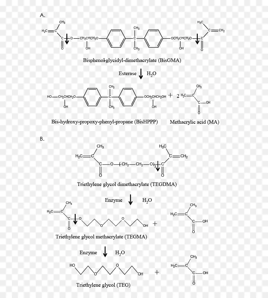 Estructura Química，Molécula PNG