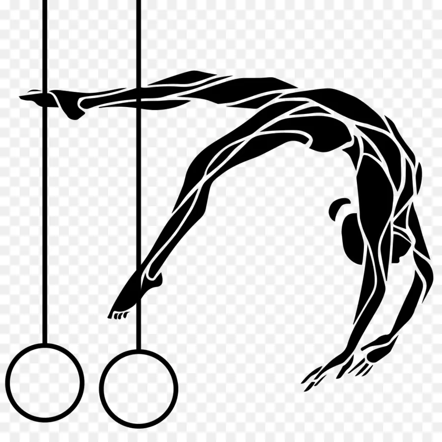 Gimnasia，Viga De Equilibrio PNG