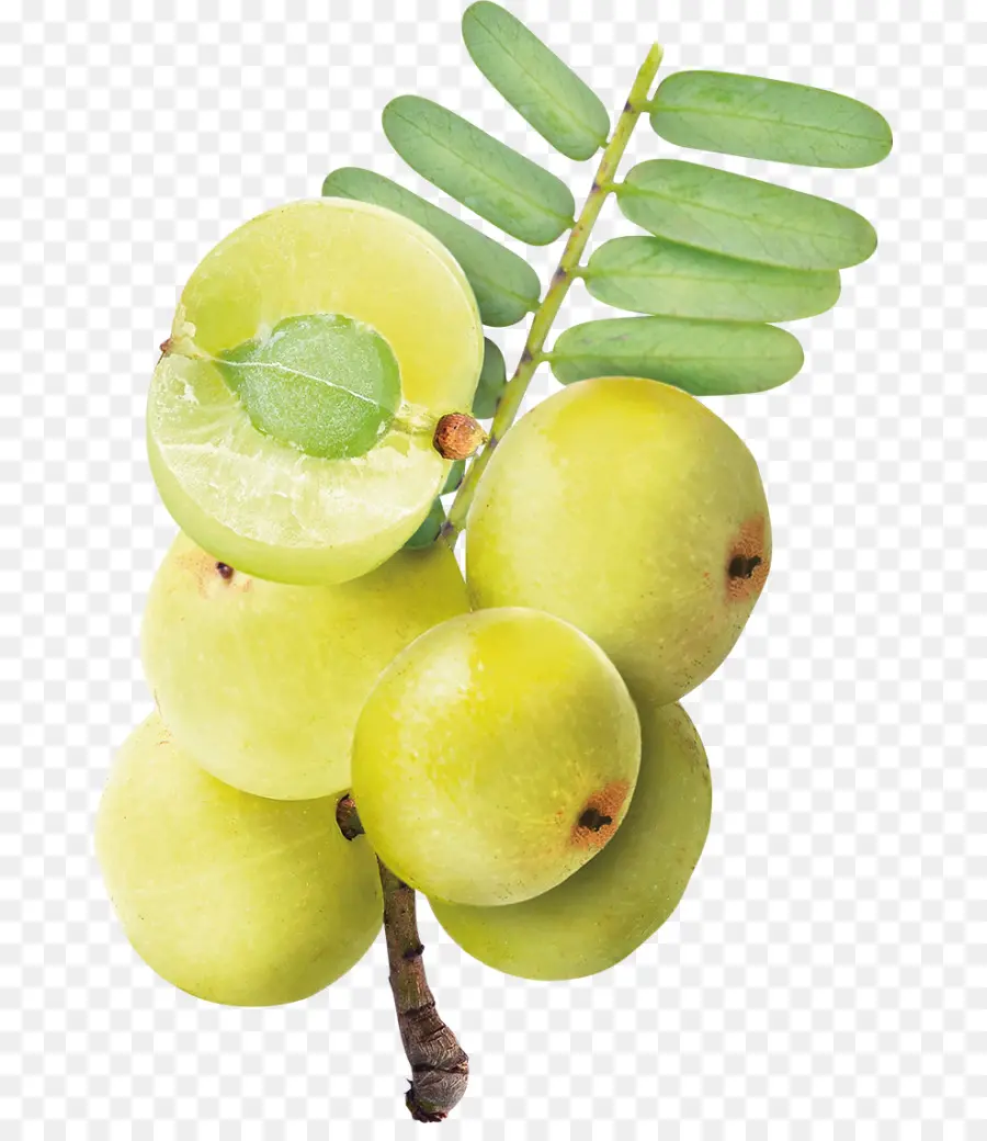 Fruta Amla，Amla PNG