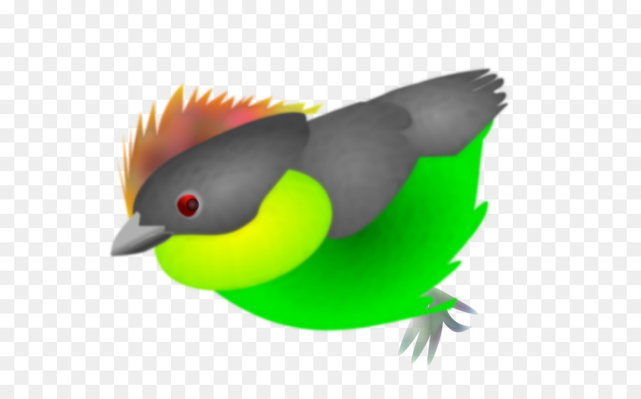 Pico，Aves PNG