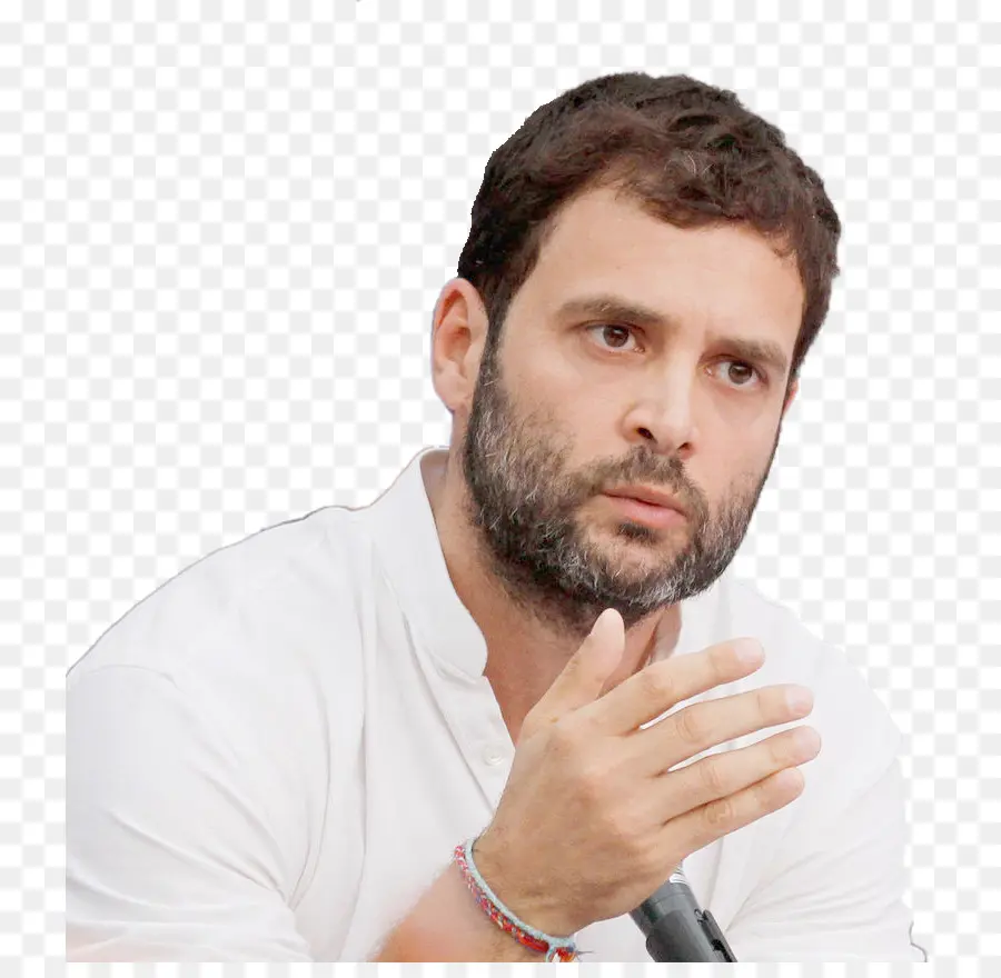 Rahul Gandhi，El Congreso Nacional Indio PNG