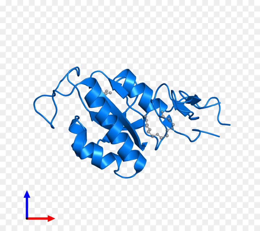 Punto，La Tecnología PNG