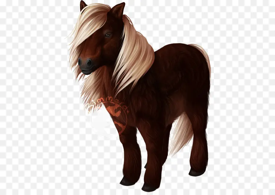 Pony Shetland，Pony PNG