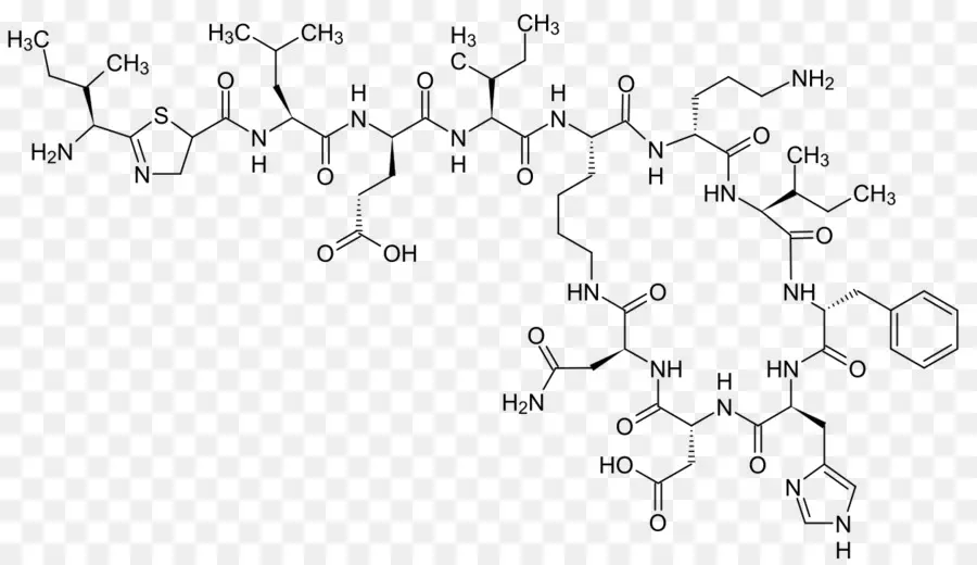 Bacitracin，El Péptido Cíclico PNG