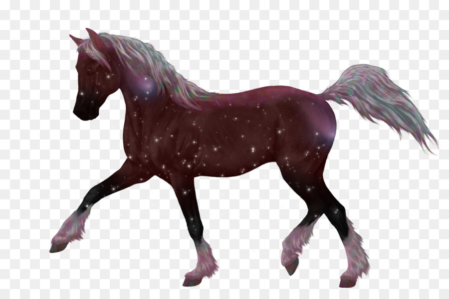 Pony，Caballo PNG