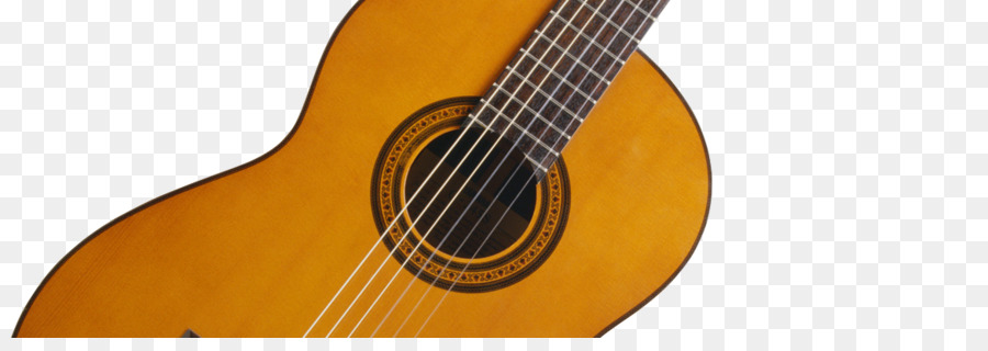 Guitarra Acústica，Bass Guitar PNG