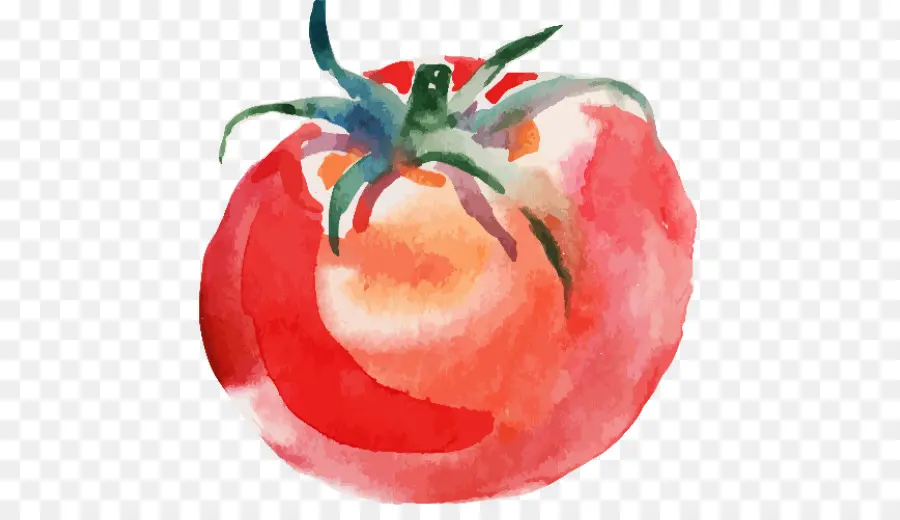 Sopa De Tomate，Pintura De Acuarela PNG