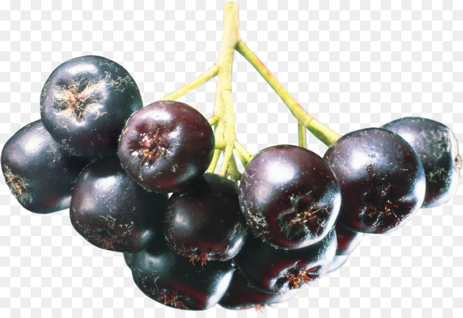 Moras，Grupo PNG