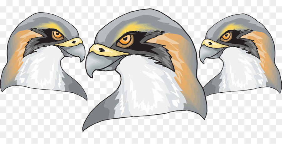 Penguin，Pájaro PNG