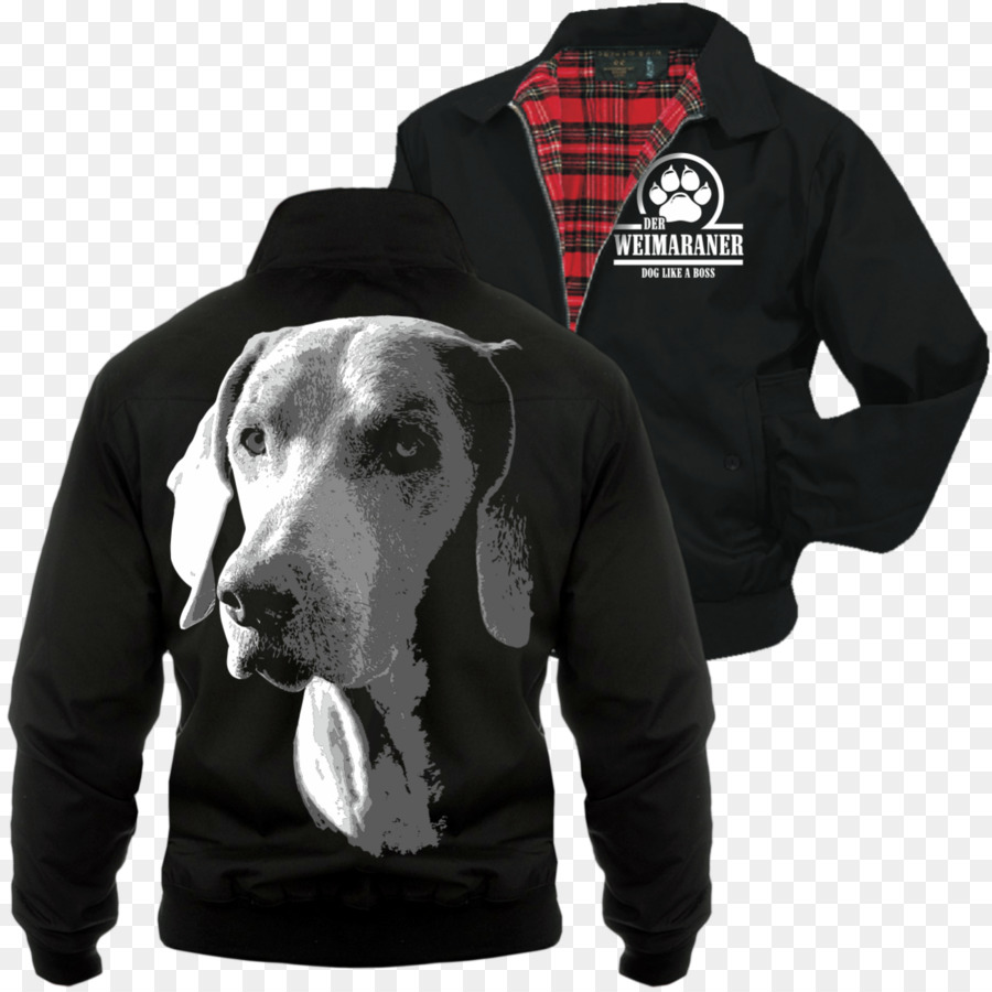 Camiseta，Sudadera Con Capucha PNG