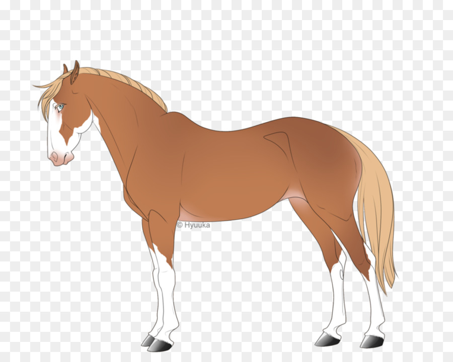 Caballo，Equino PNG