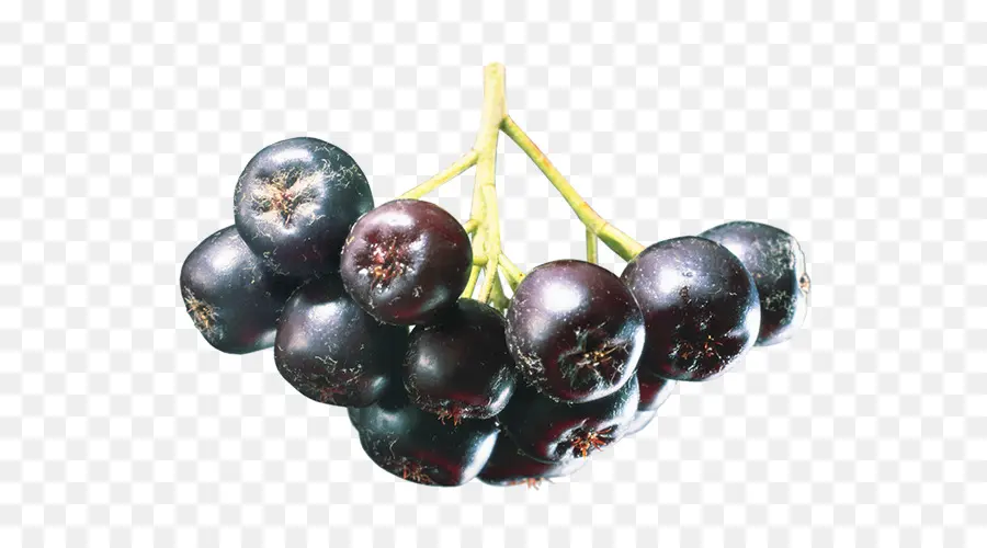 Jugo，Aronia Melanocarpa PNG