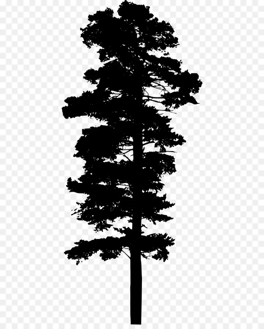 Silueta De Arbol，Negro PNG