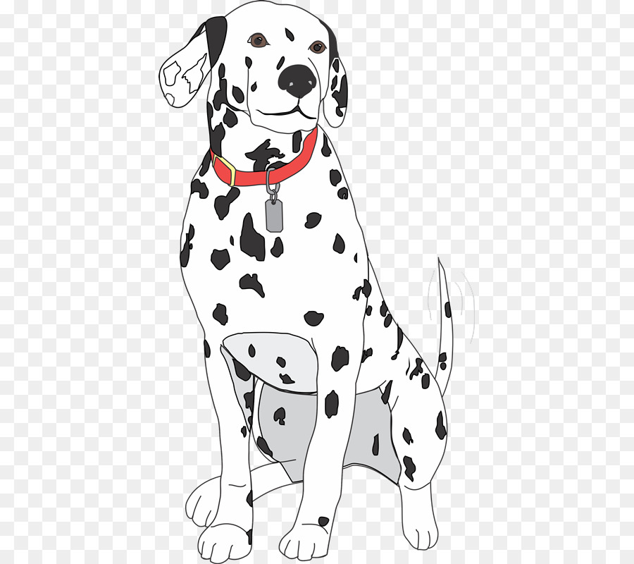 Perro Dálmata，Cachorro PNG