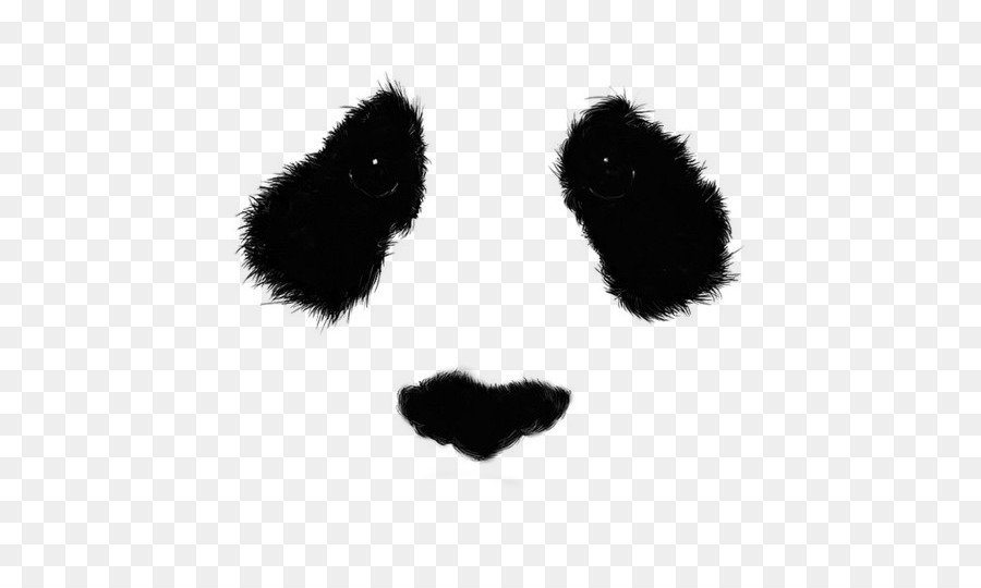 Cara De Panda，Oso PNG