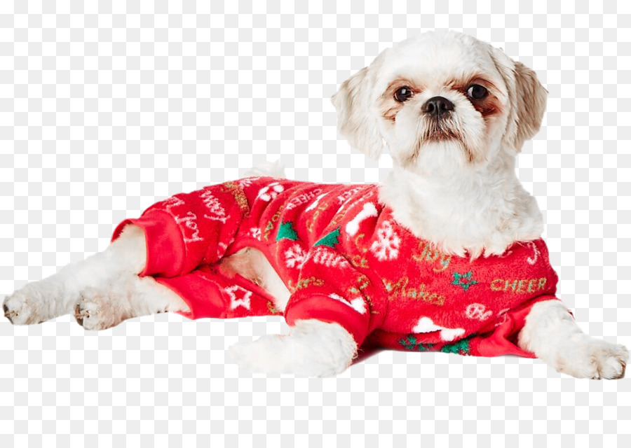 Perro En Pijama，Shih Tzu PNG