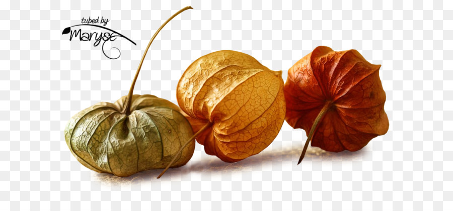 Calabaza，Calabaza De Invierno PNG