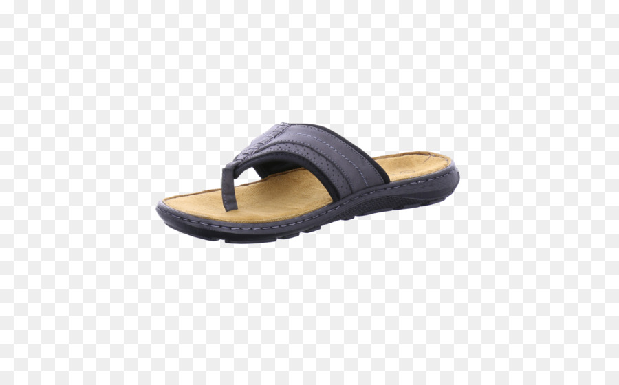 Zapatilla，Diapositiva PNG