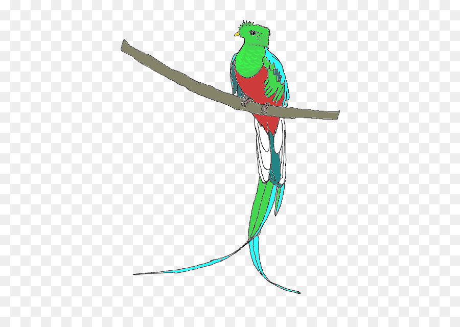 Quetzal，Pájaro PNG