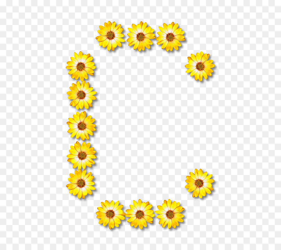 Corona De Girasol Amarillo，Girasol PNG