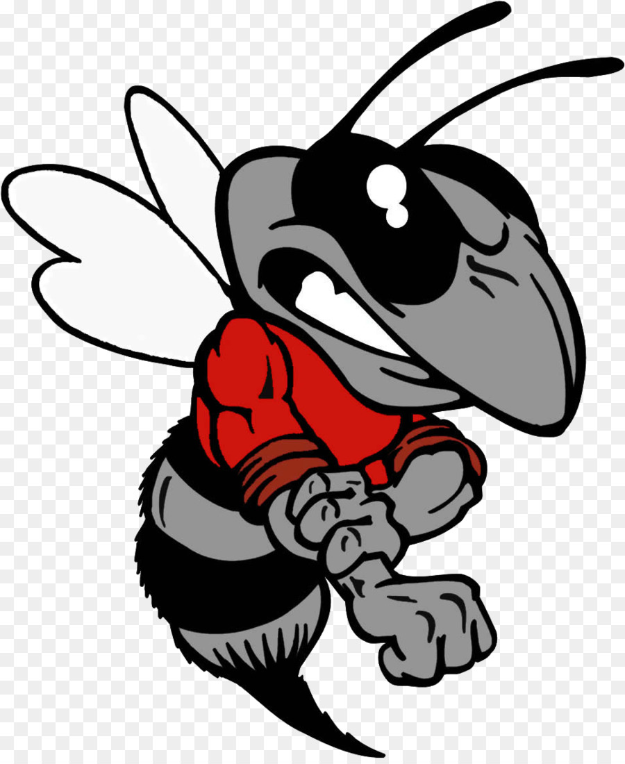 Hornet，El Deporte PNG